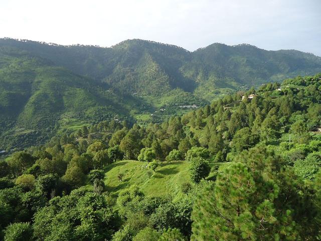 Margalla Hills